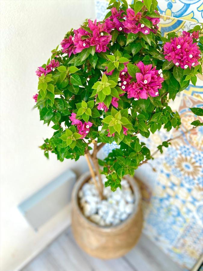 Casa Sole Apartment San Vito Lo Capo Bagian luar foto